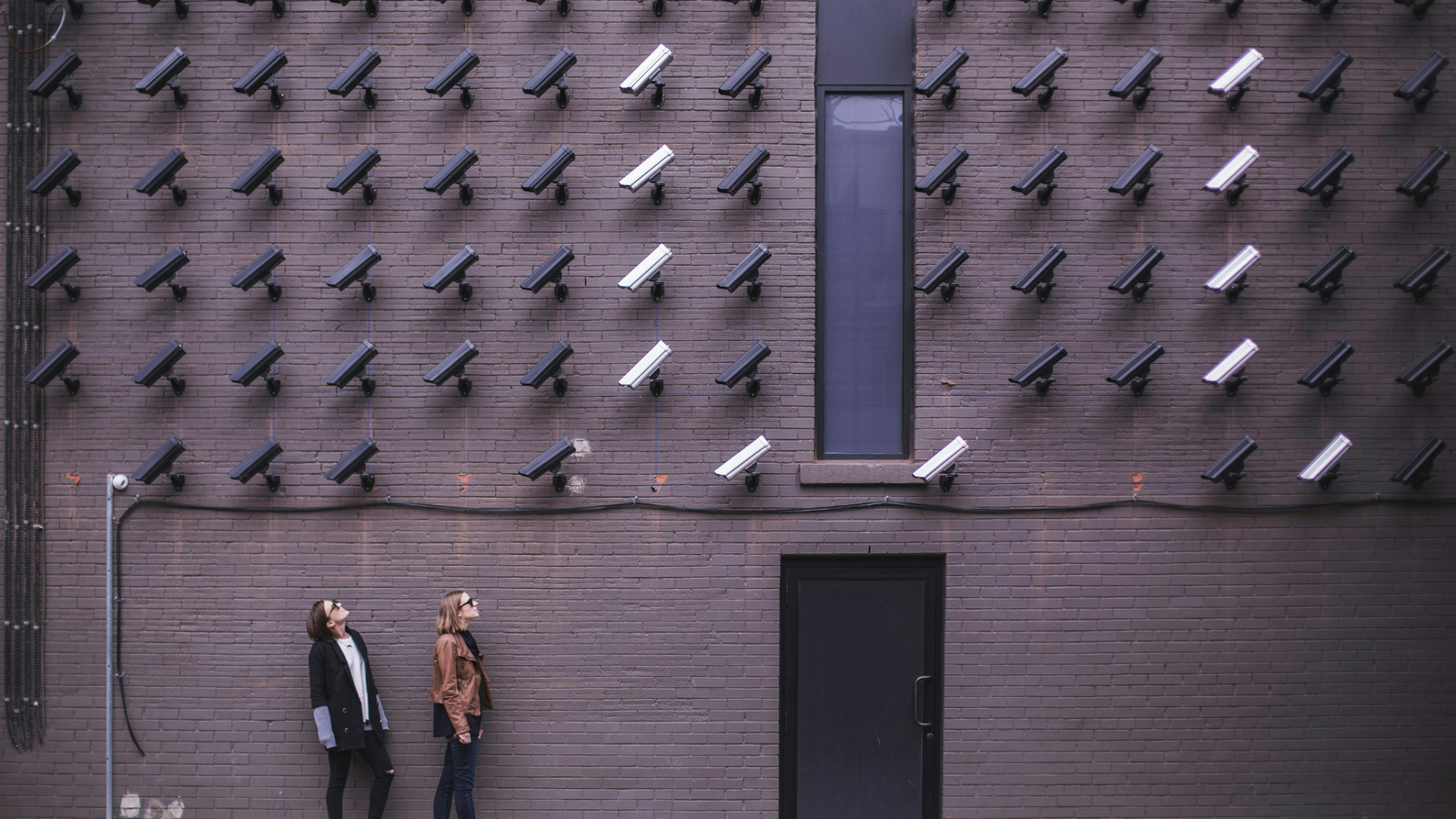 Ring vs Arlo vs Blink: Which Security Camera Is Best?