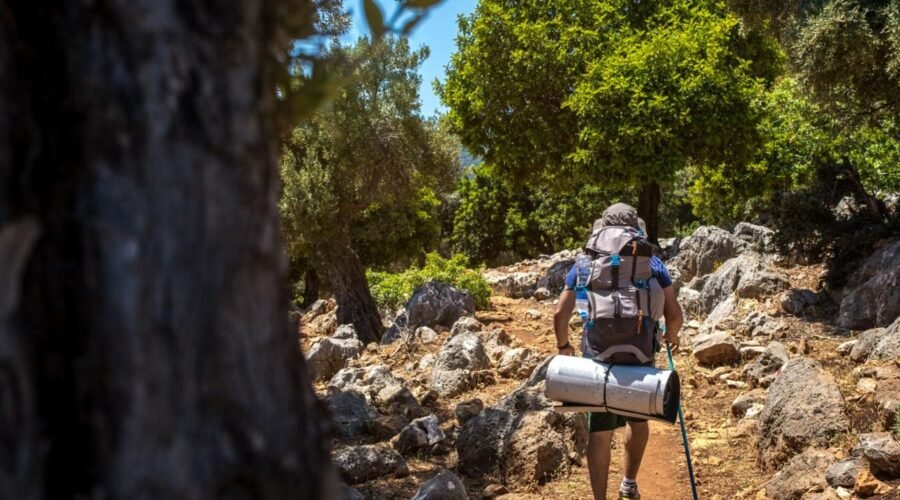 Best Travel Insurance Plans for International Trips